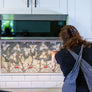 Custom Porcelain Mosaic Backsplash / Fireplace / Art